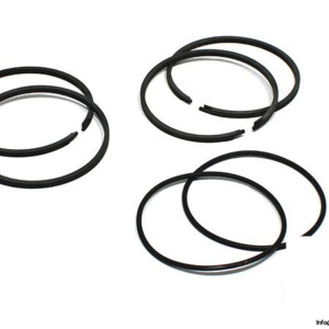 parker-PR402H001-piston-service-kit-cast-iron-rings