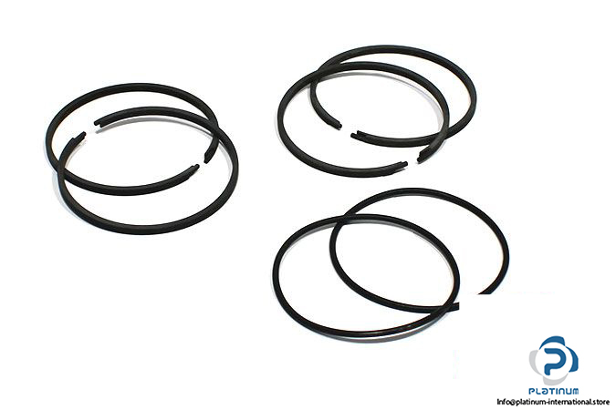 parker-PR402H001-piston-service-kit-cast-iron-rings
