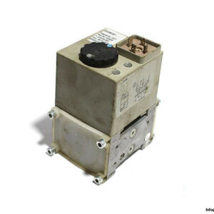 Dungs-1011-replacement-coil