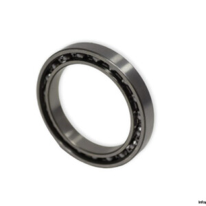 bearings-image-006