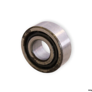 HIC 4202 Double ROW Deep Groove Ball Bearing