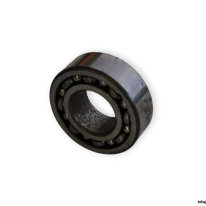 bearings-image-006