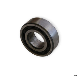 bearings-image-006
