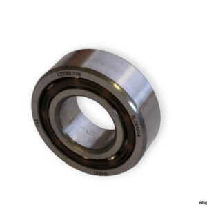 bearings-image-006