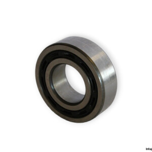 bearings-image-006