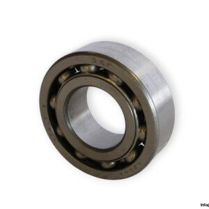 bearings-image-006