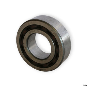 bearings-image-006