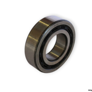 bearings-image-006