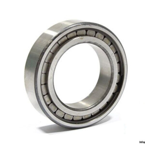 ina-F-88273-cylindrical-roller-bearing