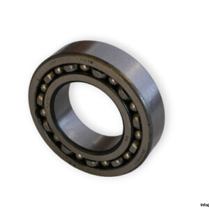 bearings-image-006