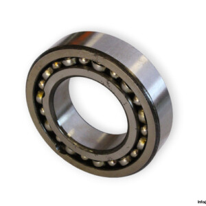 bearings-image-006
