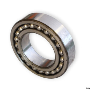 bearings-image-006