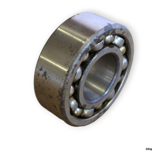 bearings-image-006