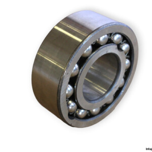 bearings-image-006