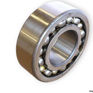 bearings-image-006