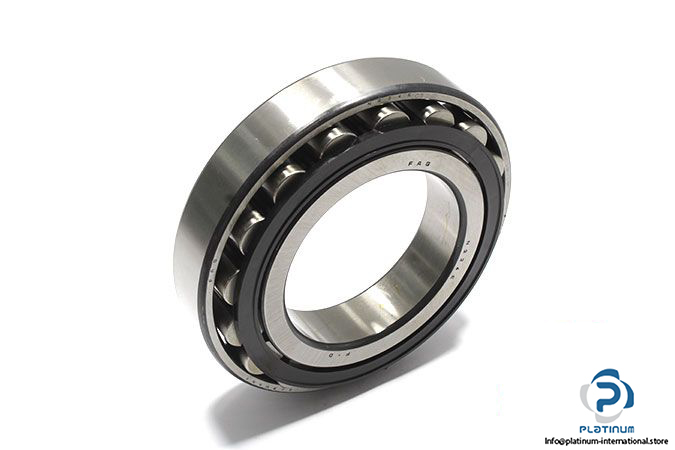 fag-N224E-C3-cylindrical-roller-bearing