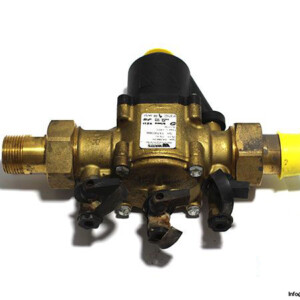 Watts BA/BM025 Backflow Preventor