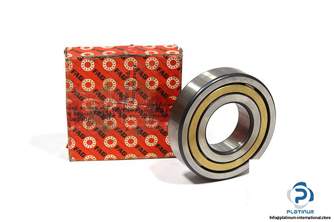 fag-NJ310-E-M1-C3-cylindrical-roller-bearing