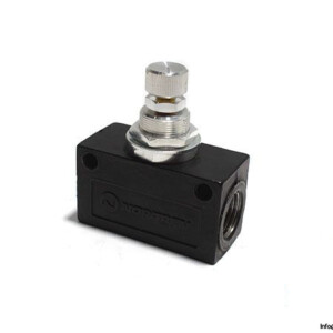 Norgren-T1000C4800-flow-control-valve