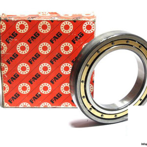 fag-6021M.C4.S1-deep-groove-ball-bearing