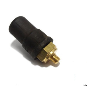 euroswitch-4111122-diaphragm-pressure-switch