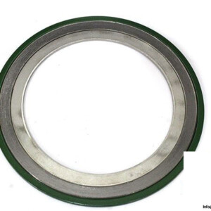 leader-11387501-spiral-wound-gasket