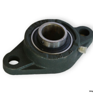 FK Ucfl 206 Oval Flange Ball Bearing Unit