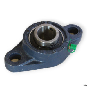 ES Ucfl 205 Oval Flange Ball Bearing Unit