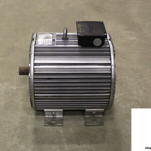 Frigoblock 132-125-4 3 Phase Electric Motor