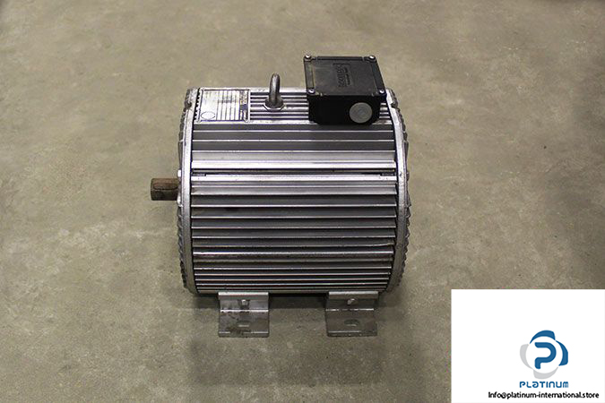 frigoblock-132-125-4-3-phase-electric-motor-2