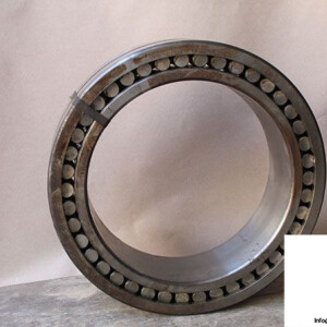Torrington-K21049C-cylindrical-roller-bearing-multi-row