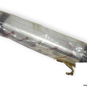 norgren-M_46032_100-rodless-cylinder