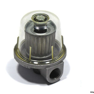 Watts 001.0033.005 Strainer Filter