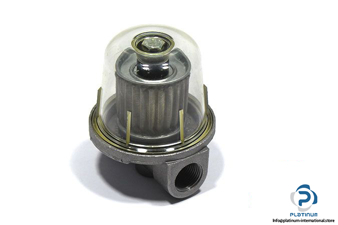watts-001.0033.005-strainer-filter