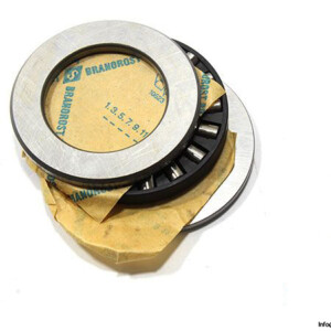 INA 81106 TN Axial Cylindrical Roller Bearing