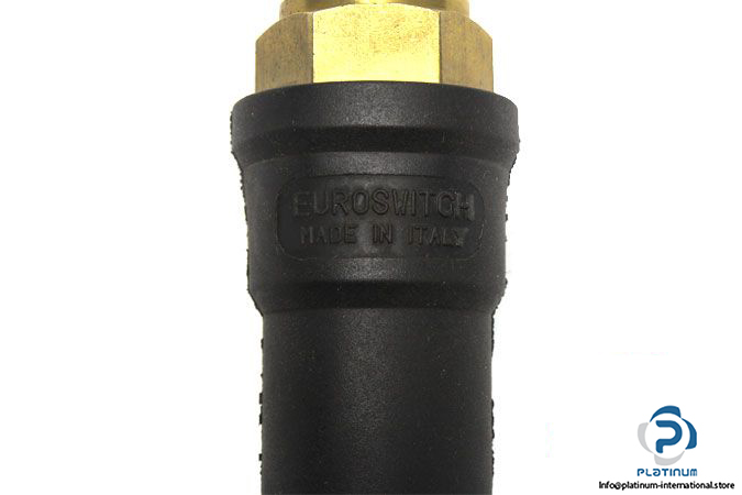 euroswitch-2121122-pressure-switch-3