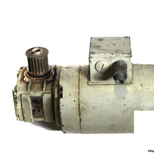 indur-D-6.90-60K_IP-54-gear-motor
