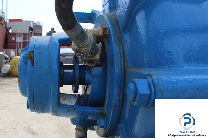 duchting-pumpen-lhk-125x8-high-pressure-centrifugal-pump-6