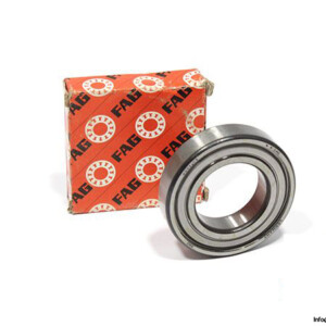 fag-6006-2Z-C3-deep-groove-ball-bearing