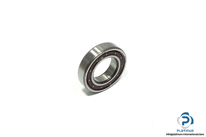 fag-6006.p63-deep-groove-ball-bearing