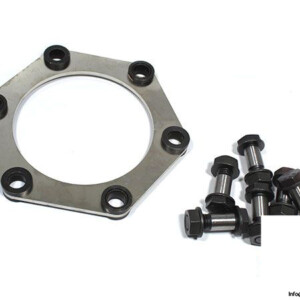 flender-AN-4200-DE-08.04-coupling-plate-pack