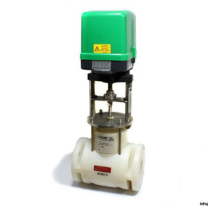 frank-650-globe-control-valve