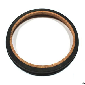 demag-RIW-613-654-brake-ring