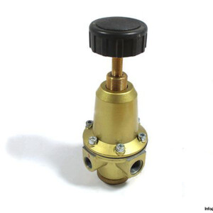Riegler-737.312-pressure-regulator