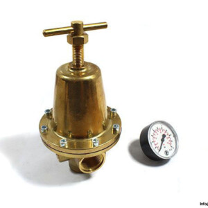 Riegler-737.603-pressure-regulator