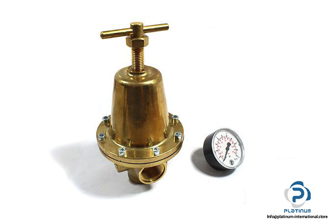 Riegler-737.603-pressure-regulator