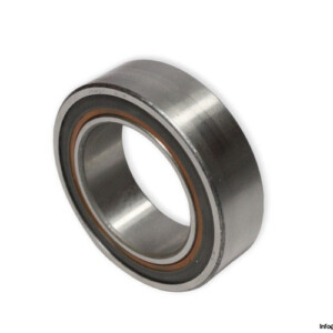 riv-63010-2RS-deep-groove-ball-bearing