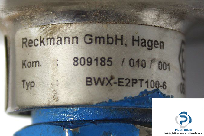 reckmann-bwx-e2pt100-6-temperature-sensor-pt100-4