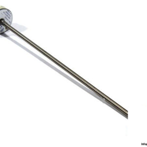 eh-2xPT100-3L-temperature-sensor-pt100