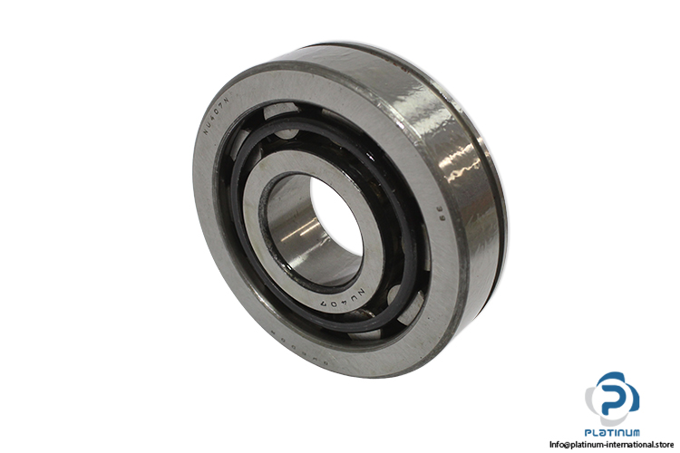 dkfddr-NU-407-N-cylindrical-roller-bearing-(new)-1